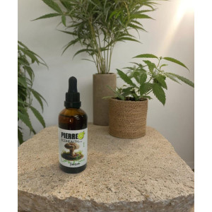 Lions Mane Tincture 100ml Lions Mane Tincture 100ml