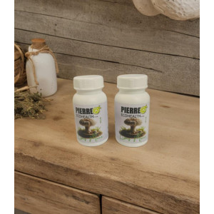 Lions Mane Lions Mane